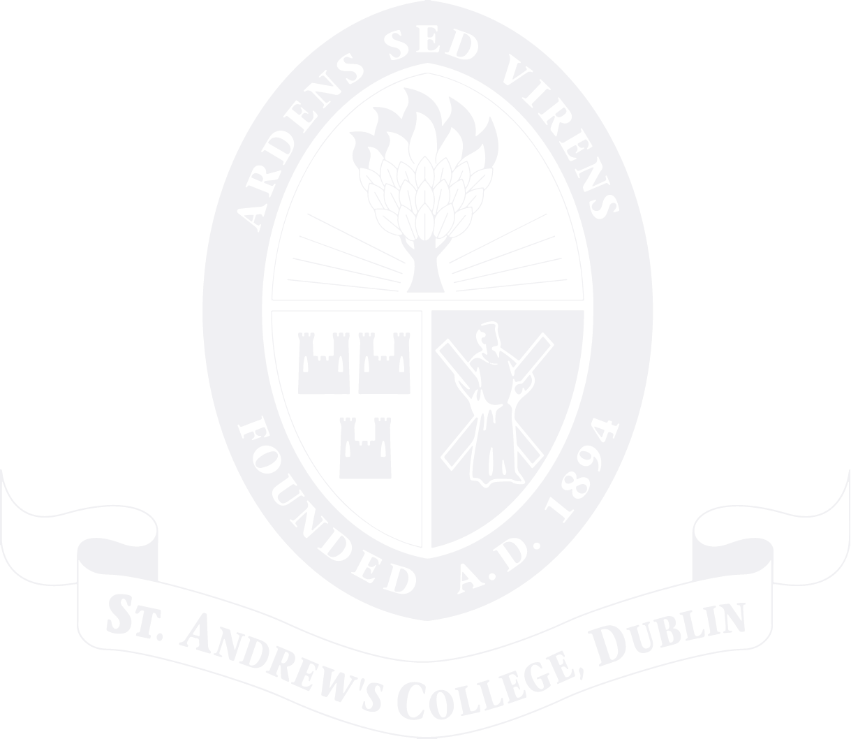 ST ANDREW'S COLLEGE DUBLIN watermark